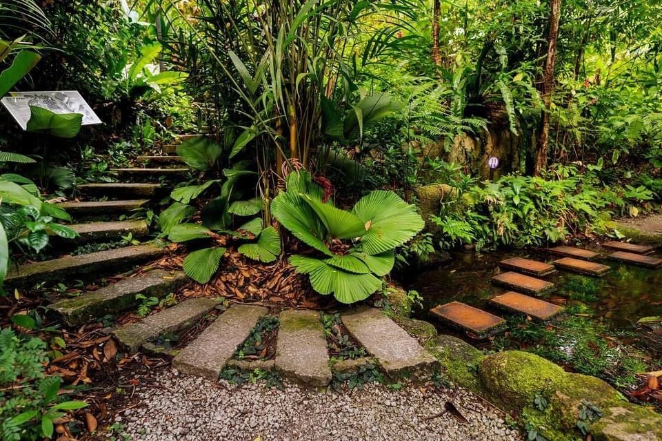 Preview of 2024 World Research and Study Tourism Conference — Exploring Nature in Penang, Malaysia