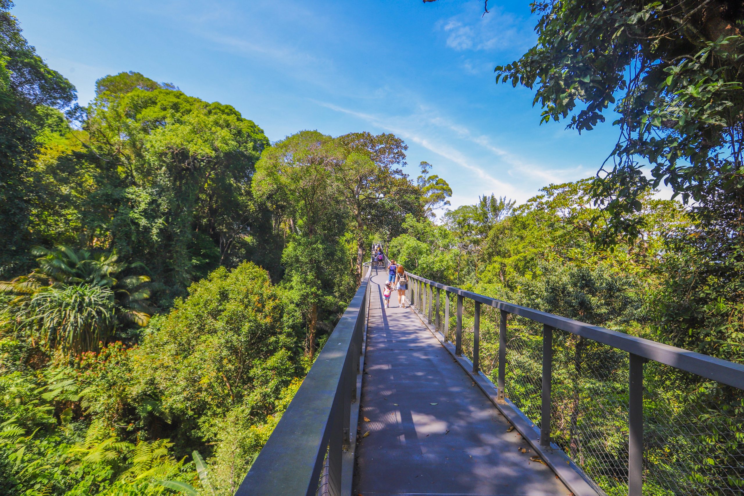 Preview of 2024 World Research and Study Tourism Conference Sites — Flagstaff Hill Tropical Rainforest Exploration Center